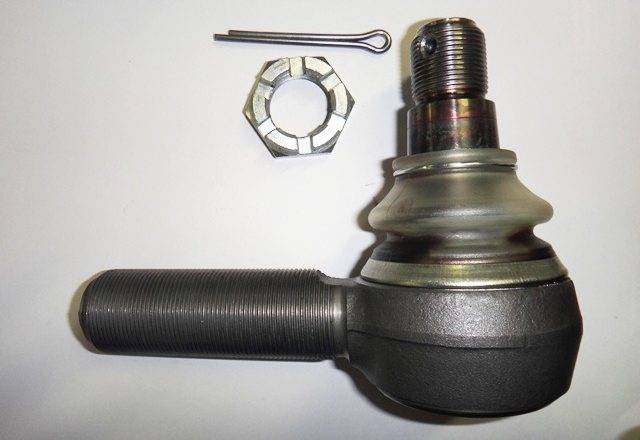 Kaj so končniki in kje jih sploh najdemo?