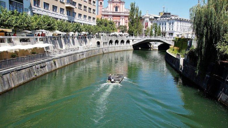 Pomoč nepremičninskega agenta pri izbiri stanovanja