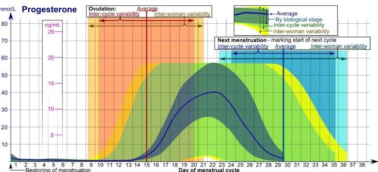 Kdaj nastopi ovulacija?